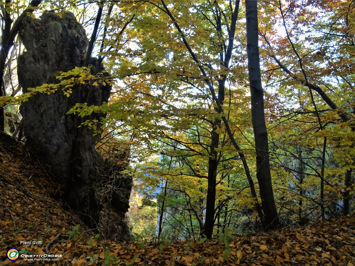 33 Faggi colorati d'autunno.JPG